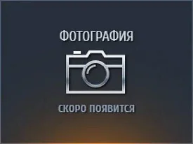 Ящик для инструмента "TITAN-22" пластиковый, STAYER